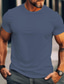 abordables T-shirts décontractés pour hommes-Homme T shirt Tee T-shirt Plein Col Ras du Cou Plein Air Vacances Manches courtes Vêtement Tenue Mode Design basique