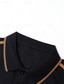 abordables polo classique-Homme POLO Polos boutonnés Casual Des sports Revers manche longue Mode basique Bloc de couleur Patchwork Bouton Printemps &amp; Automne Standard Noir POLO