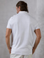 cheap Designer Collection-Men&#039;s Polo Shirt Golf Shirt Casual Sports Lapel Short Sleeve Fashion Basic Plain Button Summer Regular Fit Black White Polo Shirt