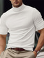 billige Casual T-shirts til mænd-Herre T-shirt Tee Top Vanlig Rullekrave Gade Ferierejse Kort Ærme Tøj Mode Designer Basale