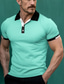 abordables polo clásico-Hombre POLO Camiseta de golf Casual Deportes Diseño Cuello polo acanalado Manga Corta Moda Básico Bloque de color Retazos Verano Ajuste regular Negro Blanco Rojo Azul Piscina Marrón Verde POLO