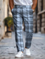 olcso Férfi plusz méretű alsók-kockás / csekk üzleti klasszikus férfi üzleti 3D nyomott ruha nadrág lapos elülső egyenes szárú poliészter közepes derék nadrág kültéri utcai viselet mindennapi viselet 3xl