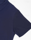 Недорогие классическое поло-Муж. Футболка-поло Рубашка для гольфа Повседневные Праздники Классика С короткими рукавами Мода Классический Полотняное плетение кнопка Лето Стандартный