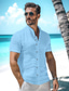 tanie lniane koszule męskie-Męskie Koszula lniana koszula Zapinana na guziki koszula Letnia koszula Koszula plażowa Czarny Biały Niebieski Krótki rękaw Równina Kołnierz stawiany Lato Codzienny Hawajskie Odzież