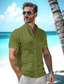 ieftine cămăși de in pentru bărbați-Bărbați Cămașă cămașă de in Camașă cu nasturi Cămașă de vară Cămașă de plajă Negru Alb Albastru Manșon scurt Simplu Guler de stand Vară Casual Zilnic Îmbrăcăminte