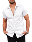 billige mænds fritidsskjorter-Herre Skjorte Button Up skjorte Casual skjorte Sommer skjorte Sort Hvid Lyserød Rød Kortærmet Vanlig Krave Daglig Ferierejse Tøj Mode Afslappet Bekvem