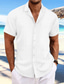 Χαμηλού Κόστους ανδρικά πουκάμισα casual-Ανδρικά Πουκάμισο Πουκάμισο με κουμπιά Casual πουκάμισο Καλοκαιρινό πουκάμισο Πουκάμισο παραλίας Μαύρο Λευκό Βαθυγάλαζο Θαλασσί Χακί Κοντομάνικο Ριγέ Πέτο Καθημερινά Διακοπές Ρούχα