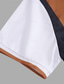 billiga klassisk polo-Herr POLO Shirt Knapp upp Polos Ledigt Sport Kavajslag Kortärmad Mode Grundläggande Färgblock Lappverk Sommar Normal Svart Vit Rubinrött Mörkgrön POLO Shirt