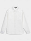 Χαμηλού Κόστους ανδρικά λινά πουκάμισα-Ανδρικά Πουκάμισο λινό πουκάμισο Πουκάμισο με κουμπιά Πουκάμισο παραλίας Λευκό Μακρυμάνικο Σκέτο Πέτο Άνοιξη &amp; Χειμώνας Καθημερινά Διακοπές Ρούχα