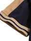 billiga klassisk polo-Herr POLO Shirt Knapp upp Polos Ledigt Helgdag Kavajslag Kortärmad Mode Grundläggande Färgblock Lappverk Broderad Sommar Normal Svart Vin Marinblå Grön POLO Shirt