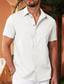 billige mænds fritidsskjorter-Herre Skjorte Button Up skjorte Casual skjorte Sommer skjorte Oxford skjorte Hvid Lyserød Blå Kortærmet Vanlig Krave Daglig Ferierejse Tøj Mode Afslappet Bekvem