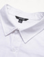 Недорогие мужские льняные рубашки-Графика Гавайский Мода Повседневная Муж. Рубашка льняная рубашка Кнопка рубашка Повседневные Гавайский Отпуск Весна &amp; осень Лацкан Длинный рукав Белый S, M, L 55% лен 45% хлопок Рубашка