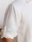 billige herre linned skjorter-Herre Skjorte linned skjorte Hvid Langærmet Helfarve Aftæpning Sommer Afslappet atletiktøj Tøj Knap