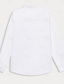 Χαμηλού Κόστους ανδρικά λινά πουκάμισα-ανδρικό λινό πουκάμισο γραφικό πουκάμισο Χαβάης μόδας casual button up πουκάμισο καθημερινά Χαβάης διακοπές πέτο άνοιξη &amp; φθινόπωρο μακρυμάνικο λευκό 55% λινό 45% βαμβακερό πουκάμισο