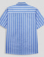 billige fritidsskjorter for menn-Herre Skjorte Blå Kortermet Stripet Vertikale striper Aftæpning utendørs Avslappet Knapp Klær Ferie Daglig