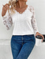 cheap Women&#039;s Blouses &amp; Shirts-Women&#039;s Blouse Solid Color Lace Eyelet Daily Elegant Long Sleeve V Neck White Spring Fall