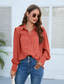 economico Top eleganti-camicetta da donna camicetta signore elegante casual manica a lanterna manica a sbuffo manica lunga normale top colletto camicia lavoro nero bianco arancione azzurro autunno inverno