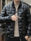 cheap Men&#039;s Downs &amp; Parkas-Men&#039;s Winter Coat Puffer Jacket Padded Jacket Pocket Polyster Daily Wear Date Vacation Regular Fashion Casual Comfortable Thermal Warm Fall &amp; Winter Plain Silver Black Puffer Jacket