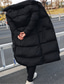 billiga Herrdunjackor och -parkas-Herr Pufferjacka Quiltad jacka Vadderad jacka Ficka Polyesterfiber Fleecefoder Dagliga kläder Datum Semester Lång Mode Ledigt Bekväm Håller värmen Höst vinter Enfärgad / vanlig färg Svart Pufferjacka