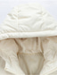 billiga Herrdunjackor och -parkas-Herr Vinterkappa Pufferjacka Vadderad jacka Ficka Polyester Dagliga kläder Datum Semester Normal Mode Ledigt Bekväm Håller värmen Höst vinter Enfärgad / vanlig färg Mörkgrå Svart Röd Blå Pufferjacka