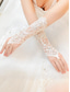 Χαμηλού Κόστους Γάμος ACC-κομψά δαντελένια νυφικά γάντια με πέρλες – αξεσουάρ γάμου για νύφες, ιδανικά για ειδικές περιστάσεις και τελετές