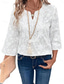 cheap Work Tops-Women&#039;s Blouse Solid Color Elegant Daily Stylish 3/4 Length Sleeve V Neck Regular Tops Work Daily Holiday Embroidered White Summer Spring Fall