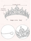 voordelige Maskerade Accessoires-Zilveren tiara met strass steentjes en sieradenset voor dames – elegante ketting, oorbellen en kroon voor bruiloften, optochten en speciale gelegenheden