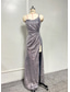 cheap Cocktail Dress-Women&#039;s Slip Dress Polyester Zipper Spaghetti Strap Sleeveless Maxi Dress Party Elegant Vintage Stylish Gray Spring Fall