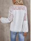 cheap Lace Tops-Women&#039;s Blouse Solid Color Elegant Daily Stylish Long Sleeve V Neck Regular Tops Daily Lace White Summer Spring