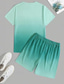 cheap Men&#039;s Printed Tees sets-Men&#039;s Ombre Palm Tree 2pcs Tees sets Summer Tops Short Sleeve Short Pants Crew Neck beach vacation Sport Daily Going out 3D Print Summer White Blue Green