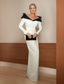 cheap Floor Length-Mermaid / Trumpet Mother of the Bride Tuxedo Dress Elegant Vintage Simple V Neck Floor Length Color Block Crepe Long Sleeve with Buttons