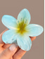 Χαμηλού Κόστους Γυναικεία αξεσουάρ μαλλιών-6 τμχ κλιπ μαλλιών λουλουδιών plumeria της Χαβάης – αξεσουάρ μαλλιών τροπικής ρητίνης για γυναίκες και κορίτσια, γάμος στην παραλία, πάρτι luau &amp; styling για καλοκαιρινές διακοπές