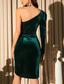 preiswerte Einfaches Kleid-Damen Minikleid Samtkleid Abschlussballkleid Sommerkleid Mode Romantisch Outdoor Party Ferien Normale Passform Einfach Langarm Ein-Schulter Dunkelgrün Sommer Frühling