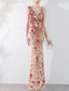 cheap Prom Dresses-Mermaid / Trumpet Quinceanera Dresses Elegant Dress Formal Wedding Floor Length Sleeveless V Neck Sequined with Sequin 2025