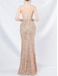 cheap Prom Dresses-Mermaid / Trumpet Prom Dresses Pink Dress Corset Dress Performance Wedding Floor Length Spaghetti Strap with Sequin