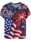 cheap Independence Day Top-Women&#039;s Patriotic  T Shirt Graphic Flag Vintage Stylish Casual Short Sleeve Crew Neck Regular Tops Daily Weekend Print Red Blue Summer Spring