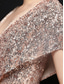 preiswerte Sekt-Meerjungfrauenschnitt Quinceanera-Kleider Elegant Kleid Formell Hochzeit Bodenlang Kurzarm V Ausschnitt Paillettenbesetzt mit Paillette 2025