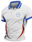 cheap Independence Day-Independence Day Men&#039;s American Flag Polo Short Sleeves Polo Collar Casual Daily Athleisure Festival Buttons Summer Robin&#039;s Egg Blue Red