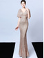 billige champagne-A-linje Quinceanera kjoler elegant kjole formell bryllup gulvlengde kort erm V-hals paljettert med dusker