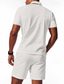 abordables Polo Classique pour Hommes-Homme Polo Polo quart de zip Extérieur Tenue quotidienne Revers Manche Courte Mode Hawaïen Uni 2 pièces Été Coupe régulière Noir Blanche Bleu Roi Vert Kaki Gris Polo