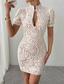 cheap White Graduation Dresses-Women&#039;s Mini Dress Casual Dress Bodycon Summer Dress Fashion Romantic Modern Daily Beach Weekend Regular Fit Plain Short Sleeve Stand Collar Black White Summer