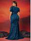 voordelige BLAUW-Zeemeermin  Trompet Plus Size Jurken Elegante Curve Jurk Formele Bruiloft Vloerlengte Korte Mouw V Hals Pailletten met Pailletten 2025