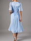 cheap Floor Length-Sky Blue Burnt Out Dots Lace A-Line Mother of the Bride Dress Elegant Simple Wedding Guest Dress V Neck Floor Length Chiffon Lace Short Sleeve with Ruching 2025