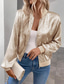 economico giacche casual-Per donna Giacca Casual Antivento Caldo Cerniera Casual Tinta unica Casuale Regolare Collo alla coreana Vestibilità regolare Manica Lunga Capispalla Champagne Autunno