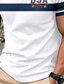 olcso Fesztivál-Amerikai függetlenség napja Férfi AEÁ Pólóingek Button Up Polos Golfing Rövid ujjú Pólóingek Hajtóka Divat Alkalmi Napi Fesztivál Nyomtatott Nyár Medence