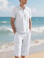 voordelige Vakantie-Voor heren Poloshirts Golfshirt Buiten Alledaagse kleding Revers Korte mouw Modieus Hawaii Effen 2-stuks Zomer Normale pasvorm Zwart Wit Marineblauw Khaki Leger Groen Licht Luchtblauw Poloshirts