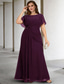 levne Délka podlahy-A-Line Plus Size Křivka Šaty pro matku nevěsty Elegantní Šaty Formální Svatební Host Podlahové Délky Bez Rukávů Ozdobný Výstřih Šifon s Nařasenými Krystaly 2025 volná zakázková velikost