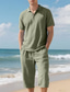 voordelige Vakantie-Voor heren Poloshirts Golfshirt Buiten Alledaagse kleding Revers Korte mouw Modieus Hawaii Effen 2-stuks Zomer Normale pasvorm Zwart Wit Marineblauw Khaki Leger Groen Licht Luchtblauw Poloshirts