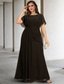 levne Délka podlahy-A-Line Plus Size Křivka Šaty pro matku nevěsty Elegantní Šaty Formální Svatební Host Podlahové Délky Bez Rukávů Ozdobný Výstřih Šifon s Nařasenými Krystaly 2025 volná zakázková velikost