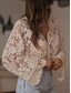 baratos Tops de Renda-Mulheres Top de emenda de renda Renda Patchwork Côr Sólida à moda Casual Manga Longa Decote V Tops regulares Diário Bege Verão Primavera